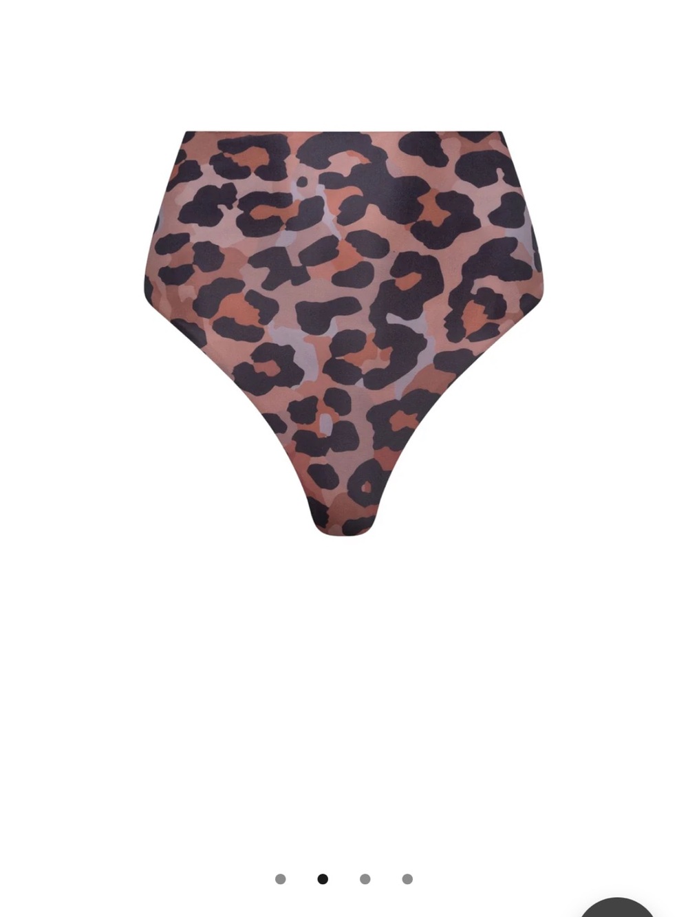 High-Rise Leopard Print Bikini Bottom - Brown Playaluxe